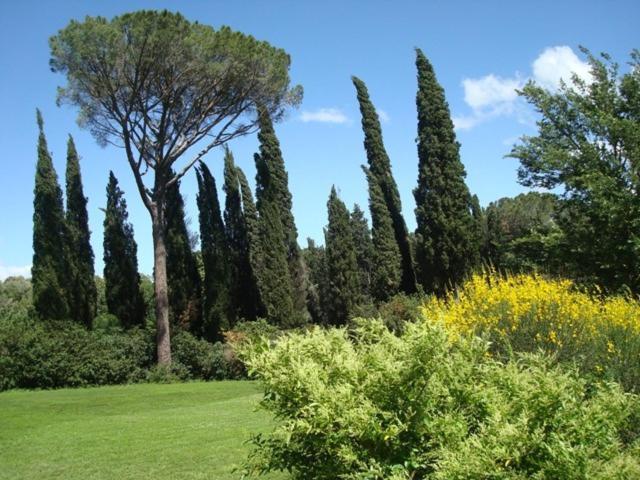 Al Giardino Degli Etruschi Pensionat Chiusi Rum bild