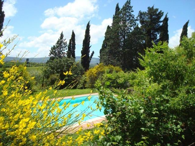 Al Giardino Degli Etruschi Pensionat Chiusi Rum bild